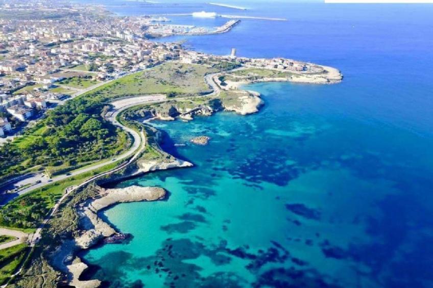 IL DELFINO - foto 27