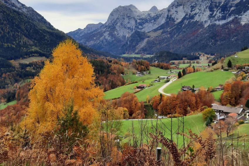 Fewo Rheinfeld - foto 10