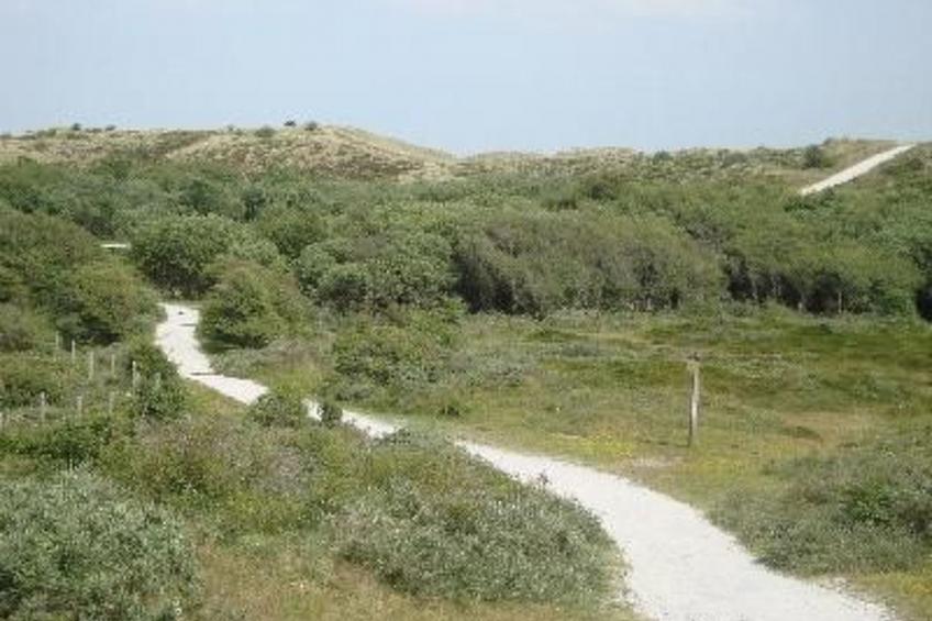 mit Terrasse - foto 13