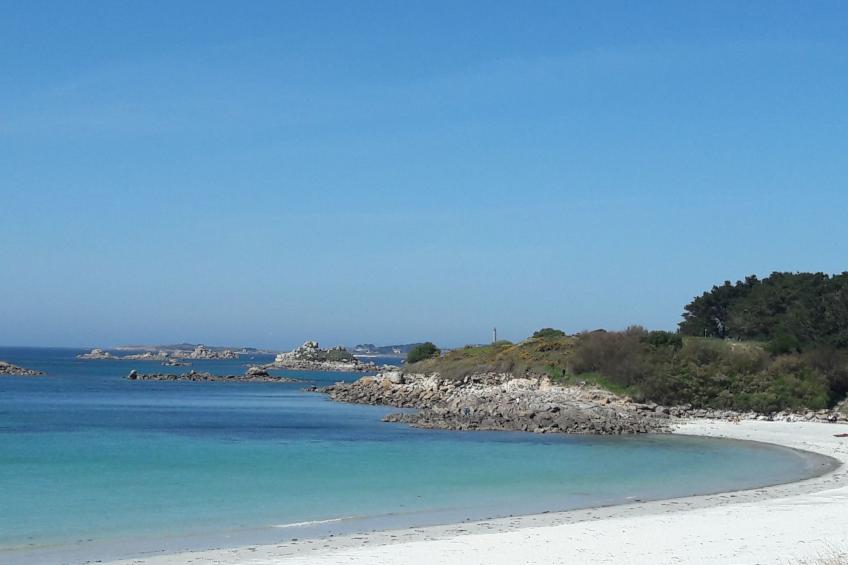 Ein Haus auf der Düne, direkter Zugang zum Strand - foto 46