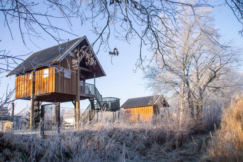 Tree house - foto 31