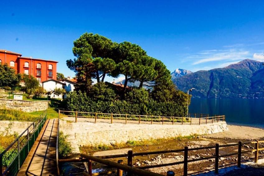 Little Paradise - foto 22