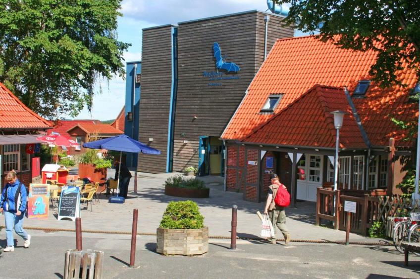 Neu im Angebot: Wohnung für vier Personen - foto 6