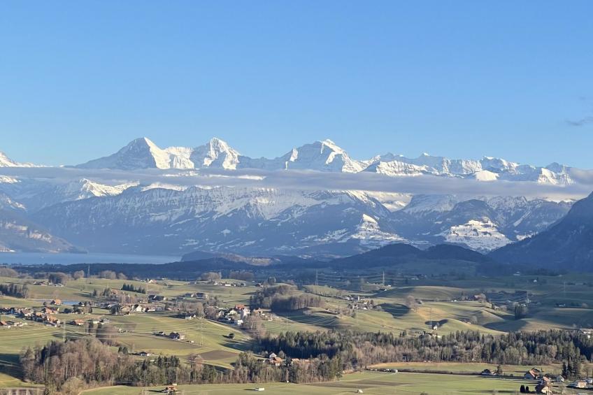 Panoramaferienwohnung Waldkircher Appartement/Fewo - foto 34