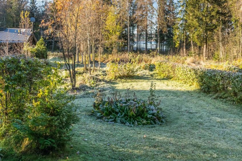 Säästöloma 5 c 10 by bomba - foto 15