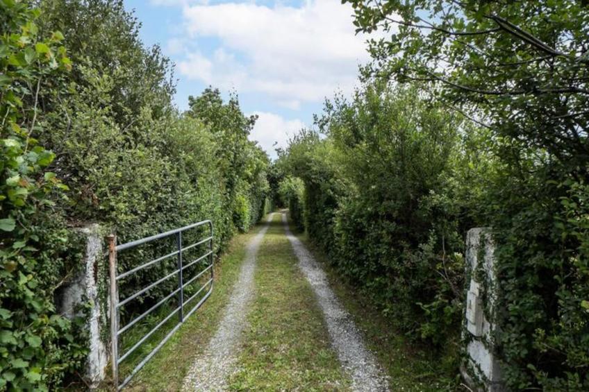 Maison à Cashel Galway - foto 35