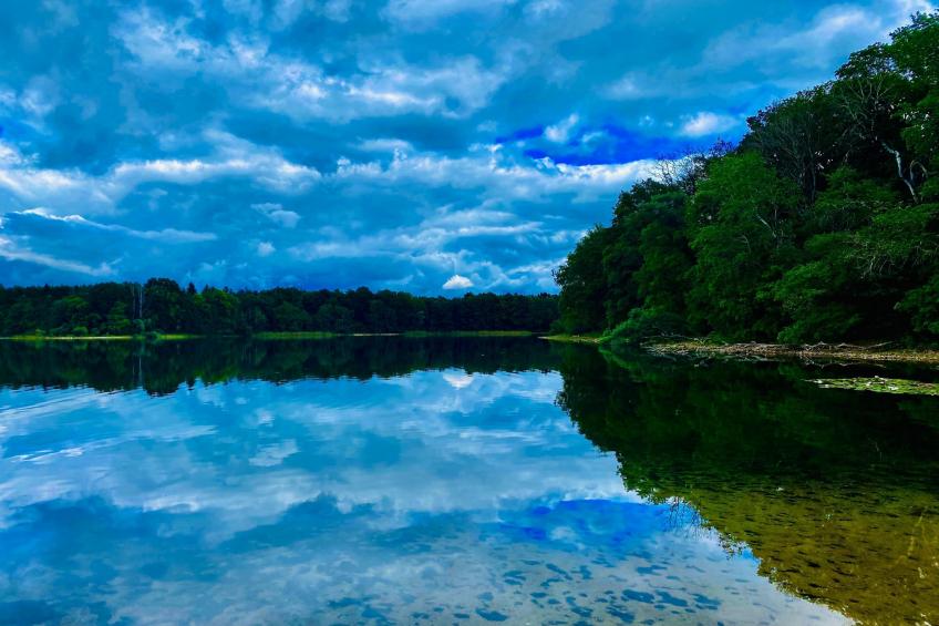 Wheelchair accessible Double Room - foto 32