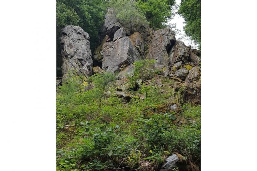 17661 - foto 36