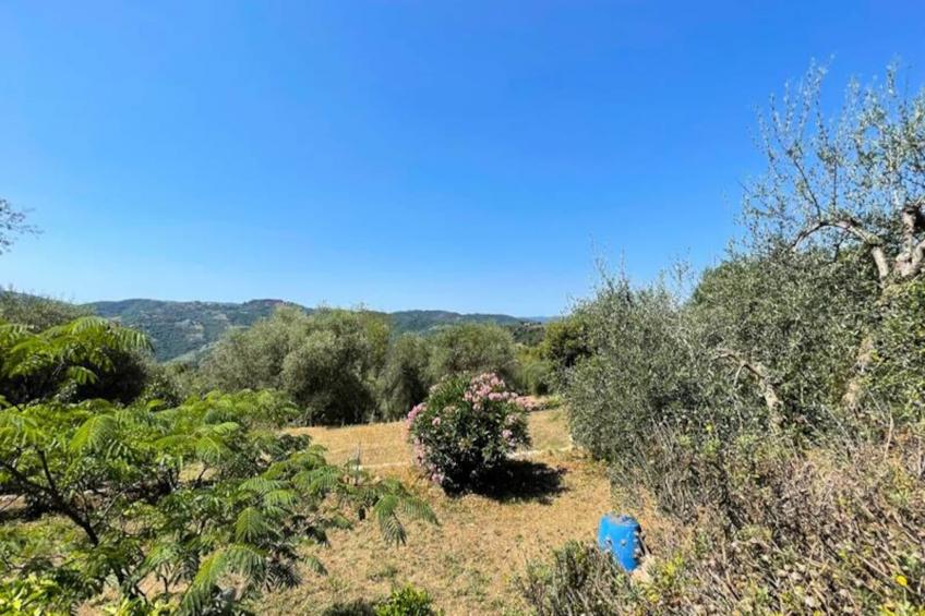 Charmant Mas 6 Pers à Peymeinade - 20 Min De Cannes - foto 33