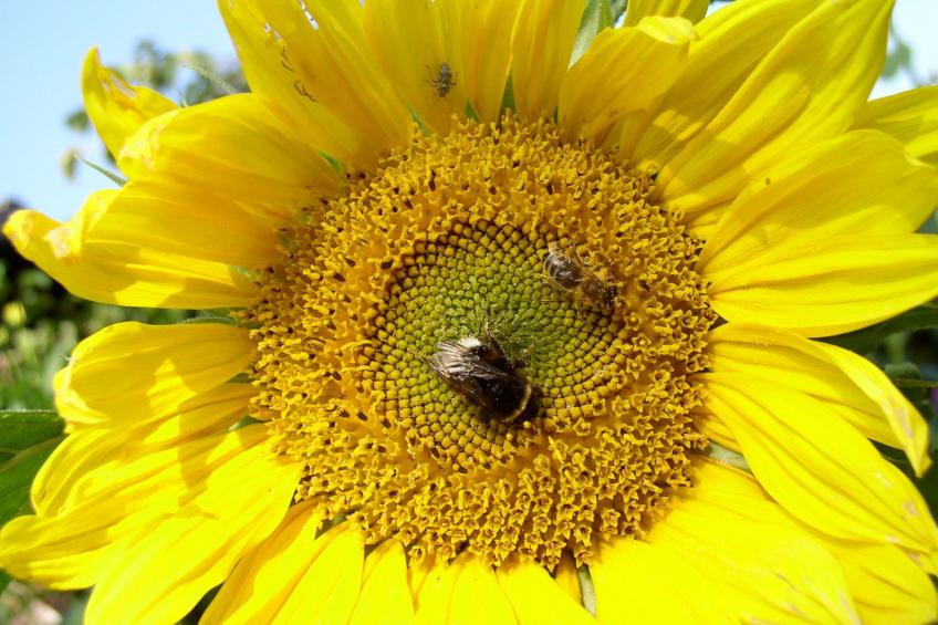 Appartement mit Wallbox - foto 45