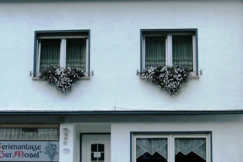 zur Mosel - foto 2