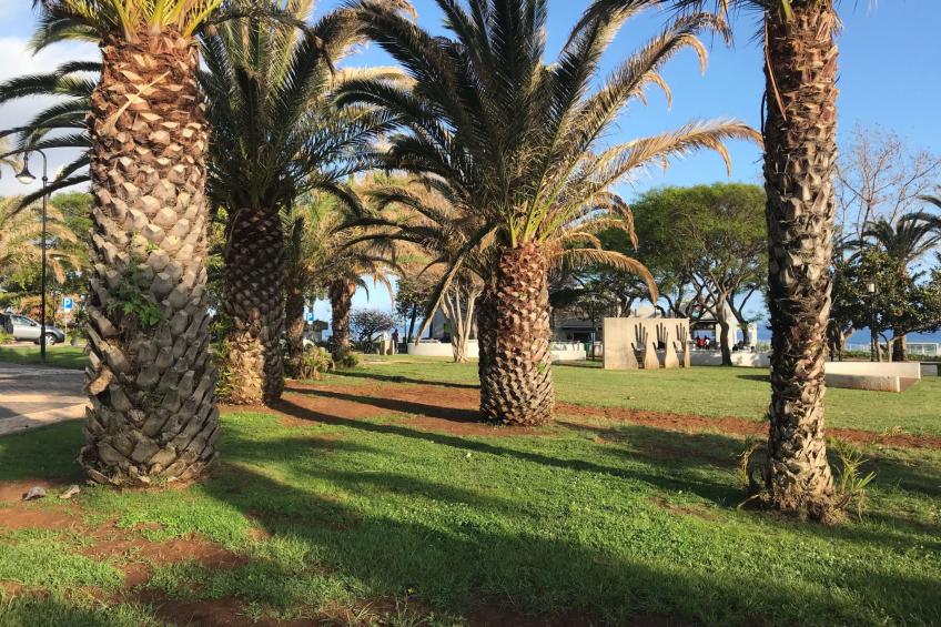 mit Blick auf das Wasser - foto 30