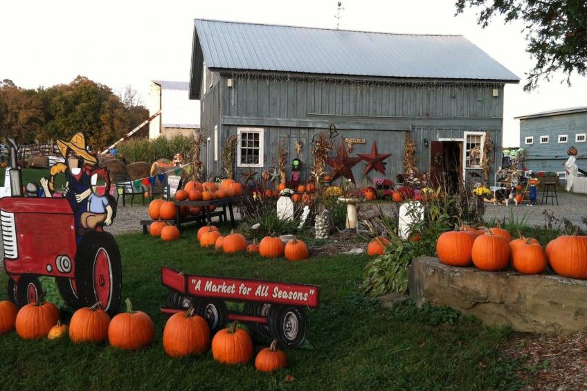 Schönes Haus in Sparrow Bush mit privatem Parkplatz und Bergblick - foto 34