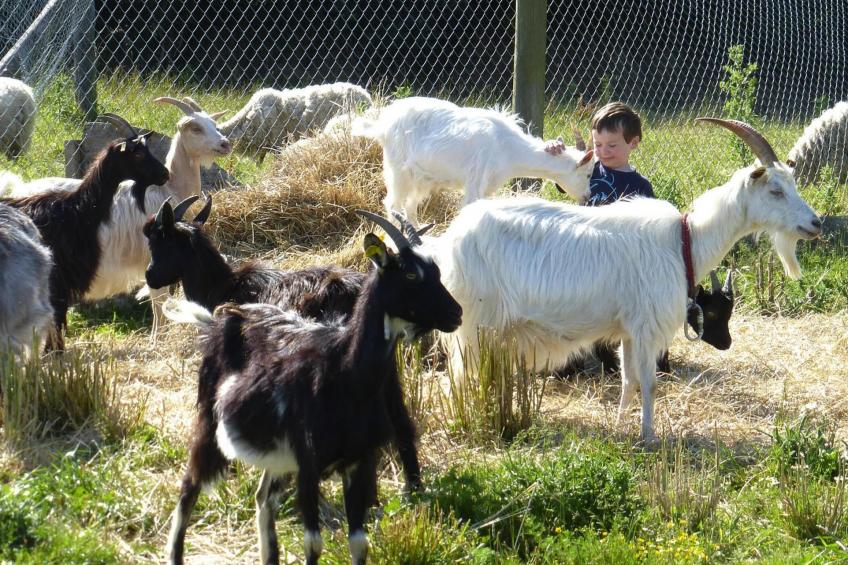 Twee-onder-een-kap woning , Saint-Lô-d'Ourville - foto 21