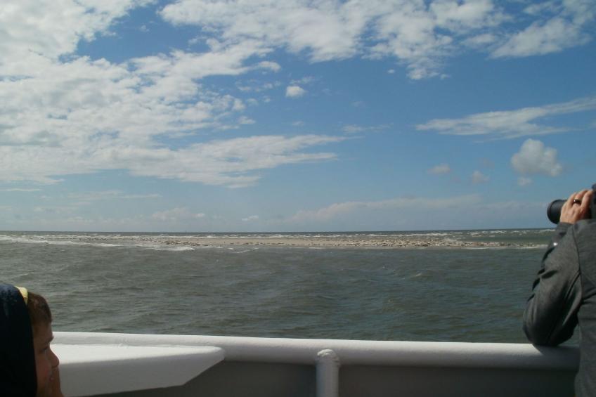 Nice Holidays - foto 5