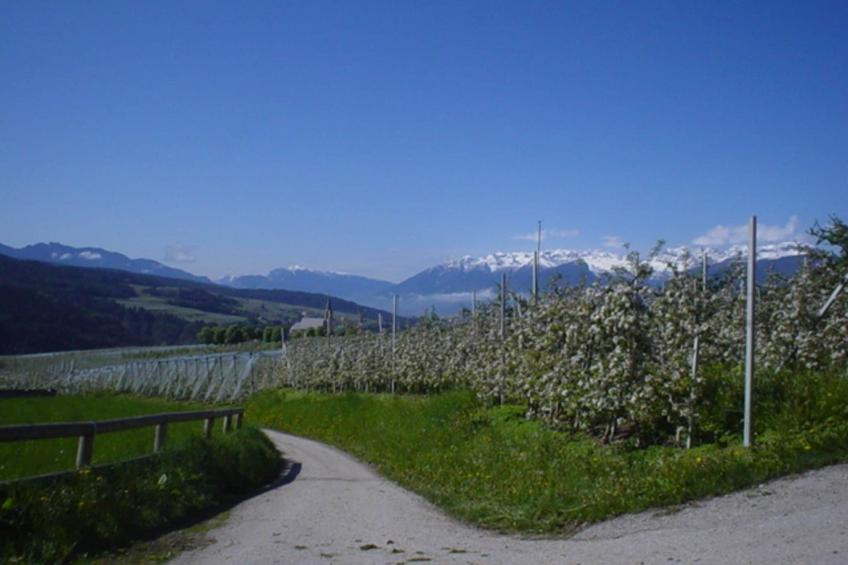 Renetta Mansarda - foto 22