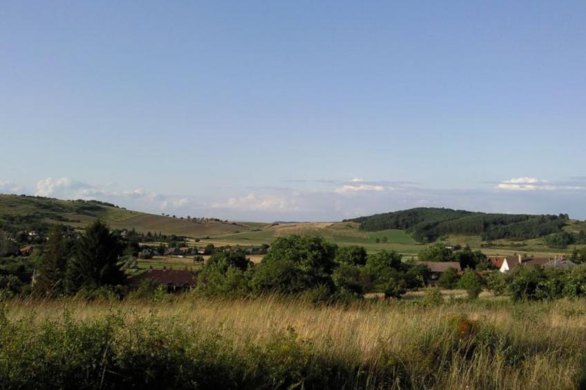 mit biologischem Schwimmteich - foto 16