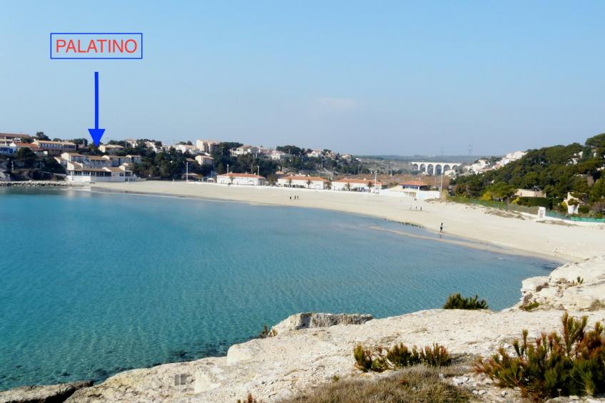 Palatino N°1
