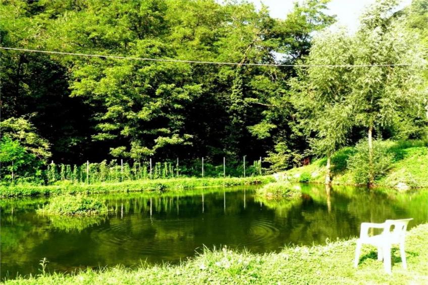 Castagnola - foto 22