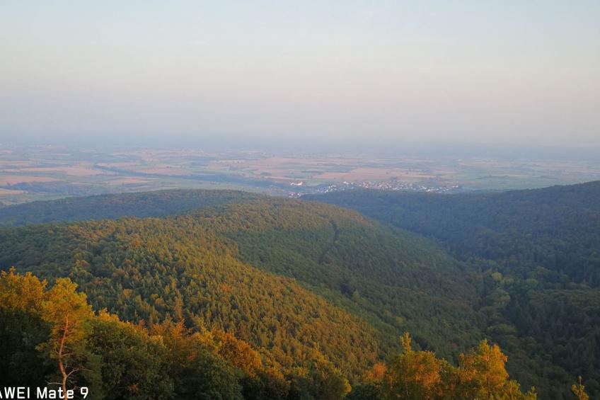 Le Château d'Eau - foto 39