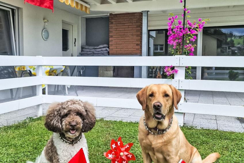 Sonnentraum - foto 7