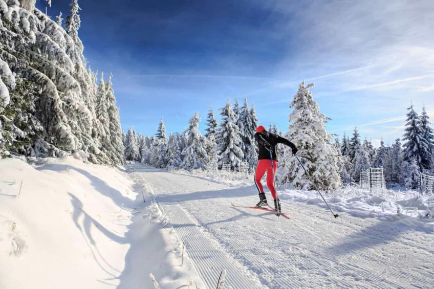 4 SZ/ 8P  - Winterberg Chalet 21096 - foto 36