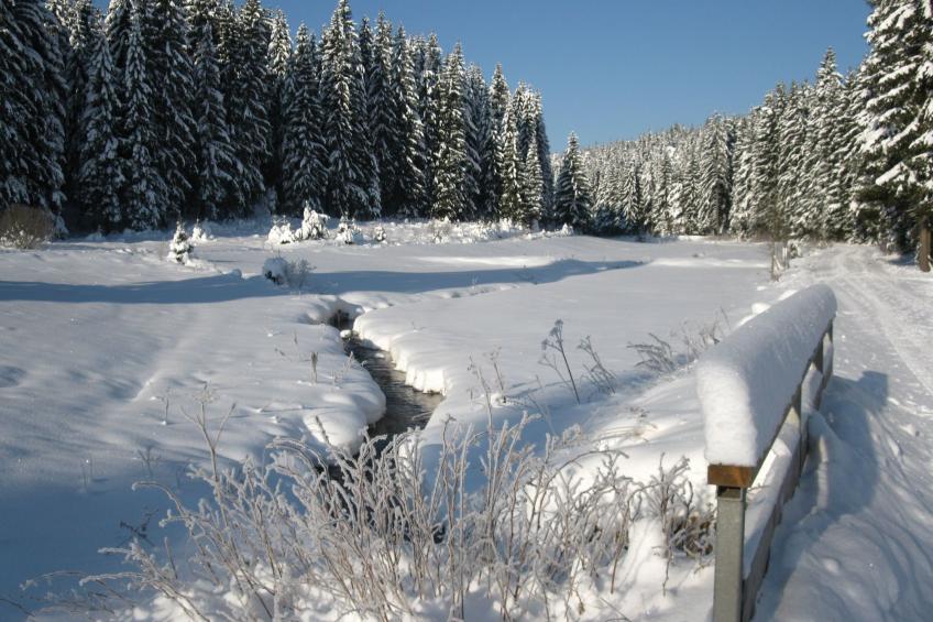 Moderne, niveauvoll eingerichtete Ferienwohnung - foto 32