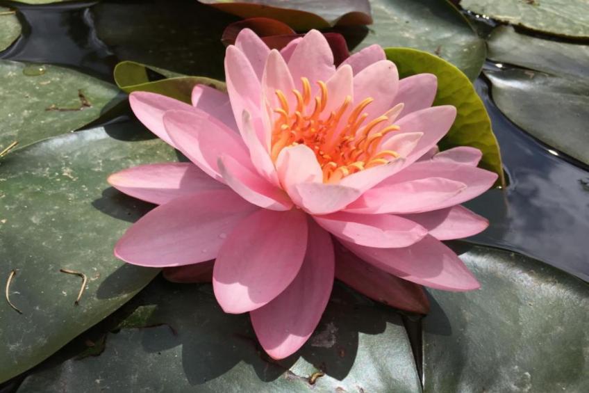 Villa Rubcic - Two Bedroom Apartment and Balcony (1) - foto 33