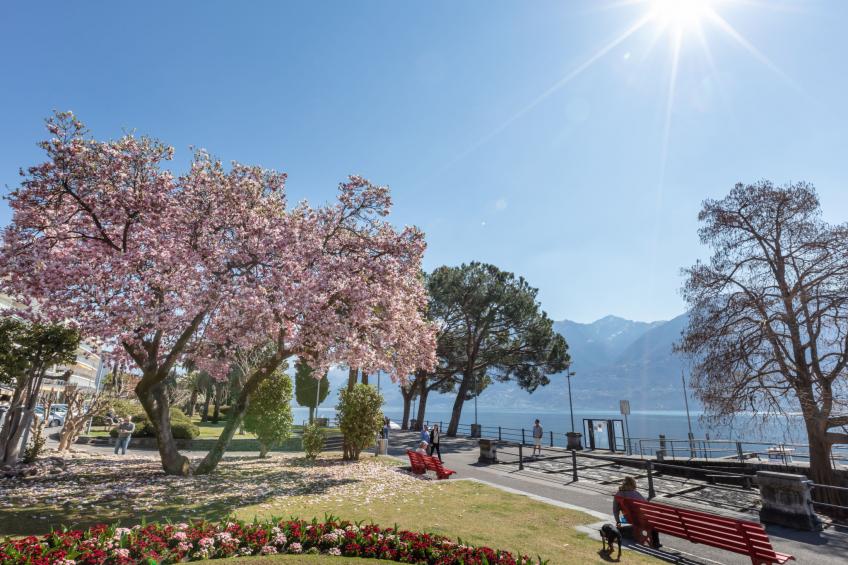 Ascona Nostrana 2 - foto 22