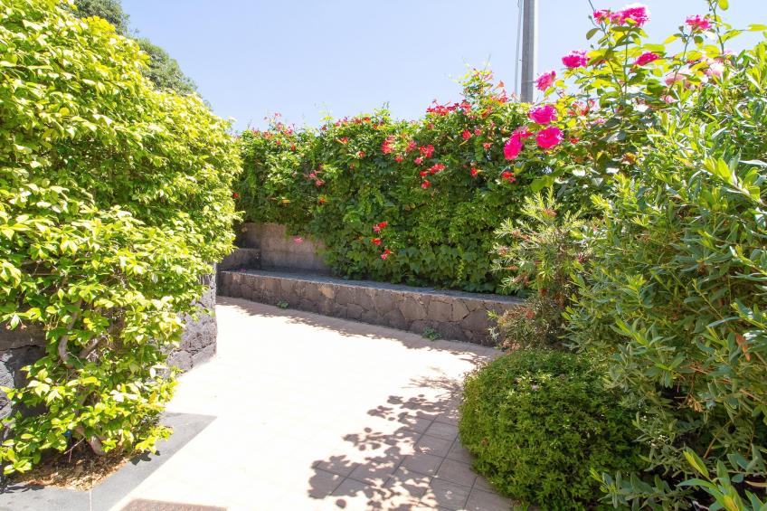 Nr 1 Appartamento Bilocale con giardino - foto 5