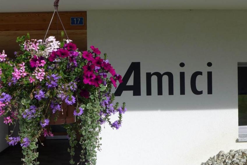 Amici 1. Stock Allegra - foto 5