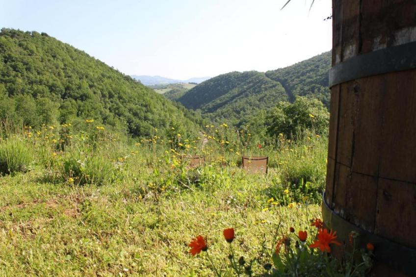 Casa Volpara - foto 25