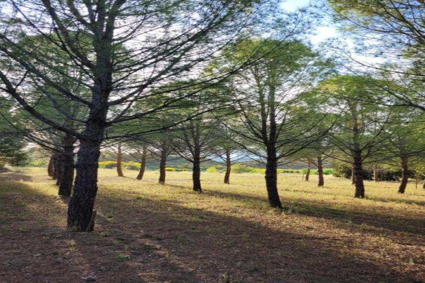 Villa Vignes et Bambous - foto 20