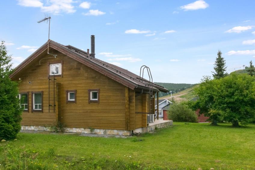 Himosaurinko - foto 3