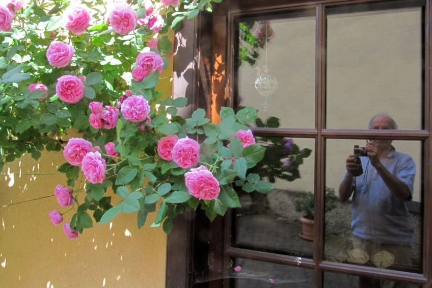 1ed-Face Vosges,au Sud,coeur Vignoble,Calme,WiFi - foto 24