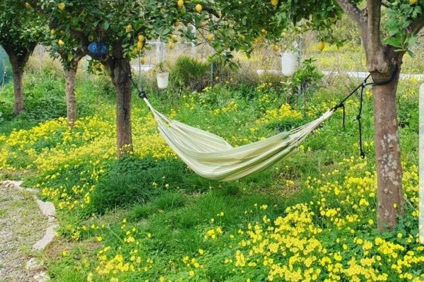 Das Lotus-Haus - foto 54