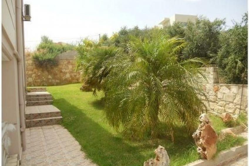 Cactus villa - foto 11