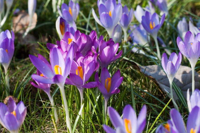 Am Apothekerberg - foto 19