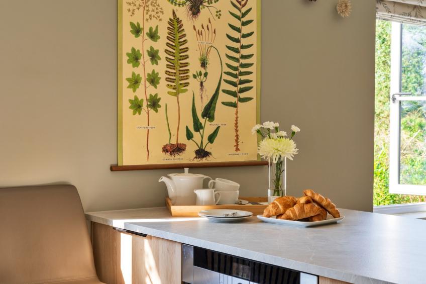 Thyme Bank - foto 16