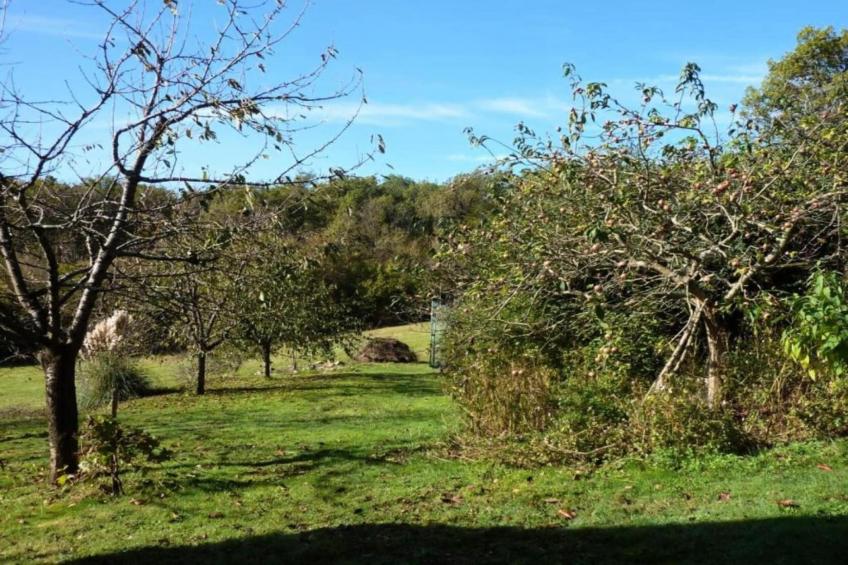 Maison de vacances - SOURDEVAL-LES-BOIS - foto 40