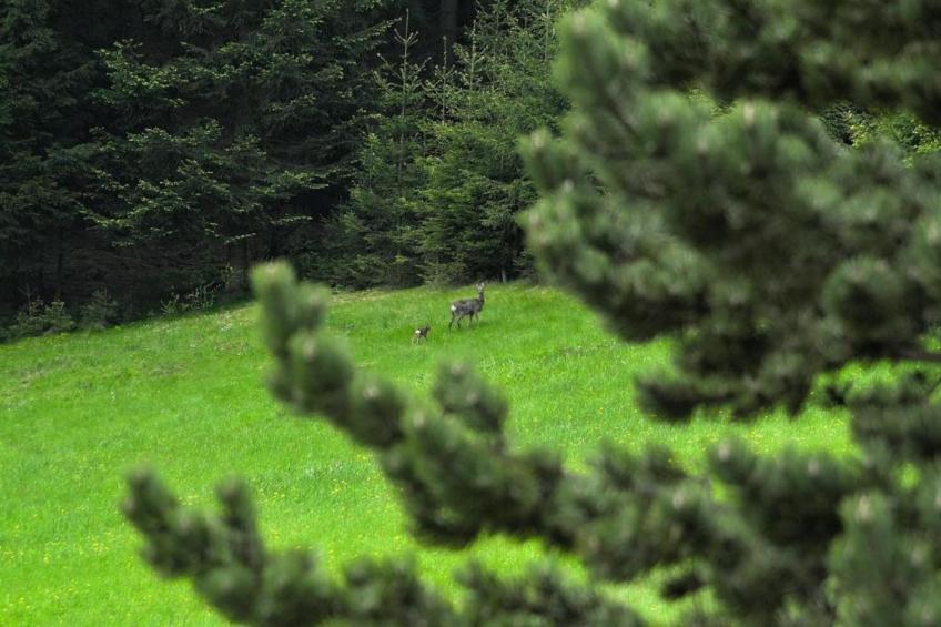 Apartament Nemojov A - foto 23