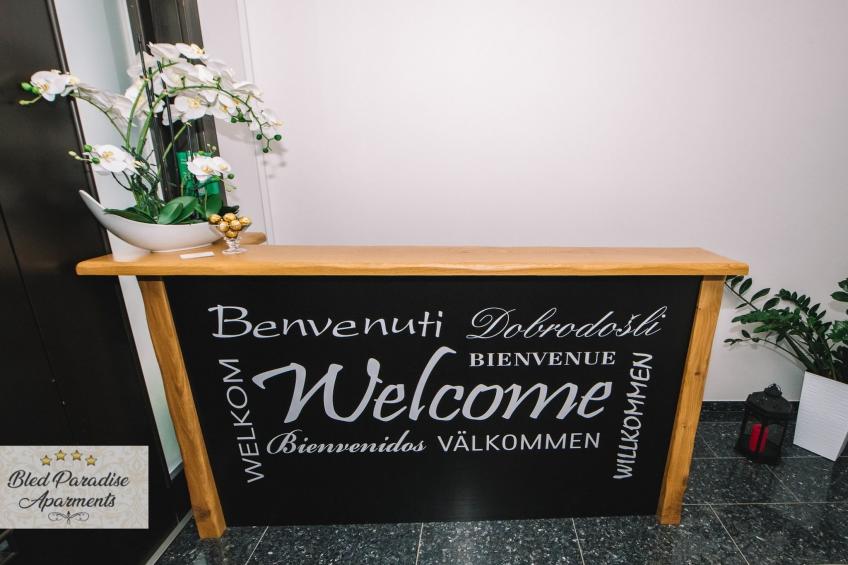 Bled Prestigious and Stylish Apartments - Standard One Bedroom Apartment with Balcony (owner 3) - foto 12