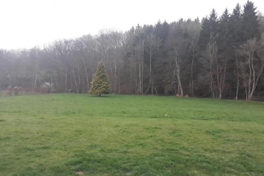 La Bressine - foto 42