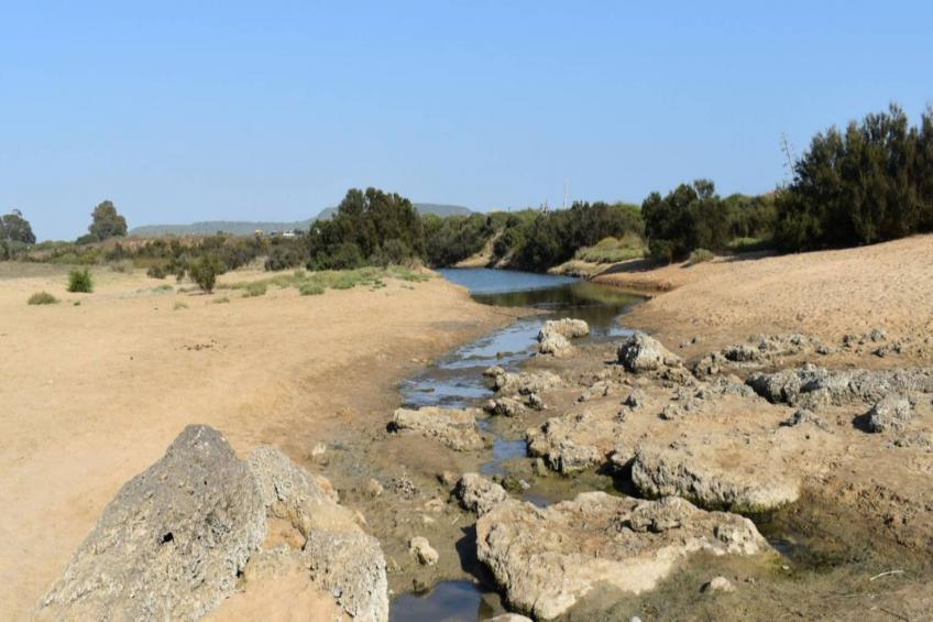 5024 -+34672427629 - foto 15