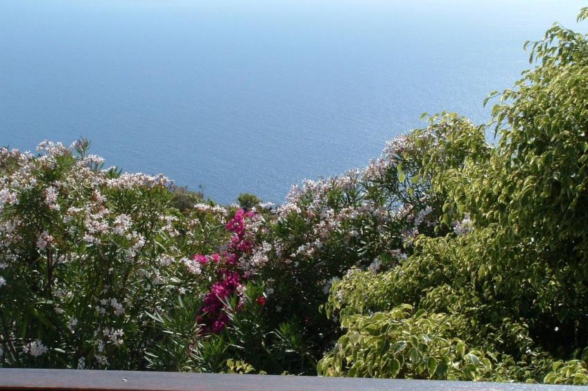 mit Garten und wunderbarer Aussicht - foto 4