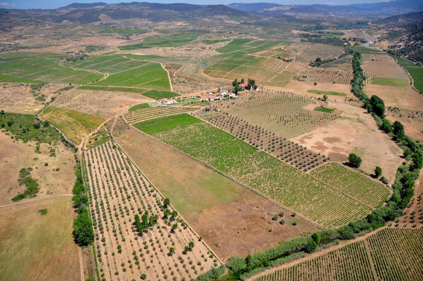 Casa do Vale - foto 25