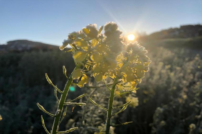 Vakantiepark Jägerwiesen - foto 26