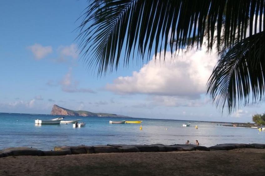 in Roches Noires mit Großem Garten - foto 36