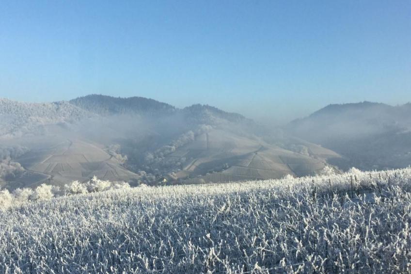 Traumwohnung - foto 60