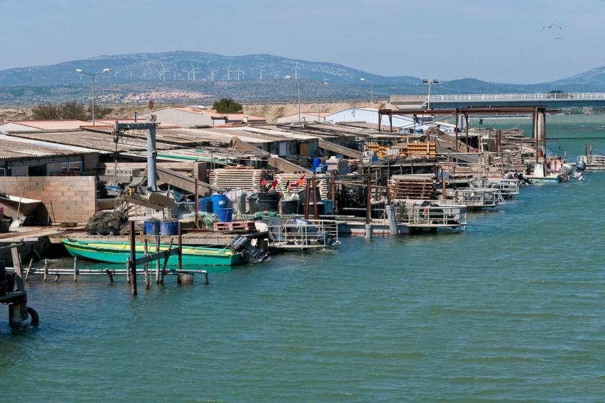 Résidence Grande Bleue - foto 21